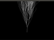 Early version of OpenGROW, with the completed tree rotated around for a better view.